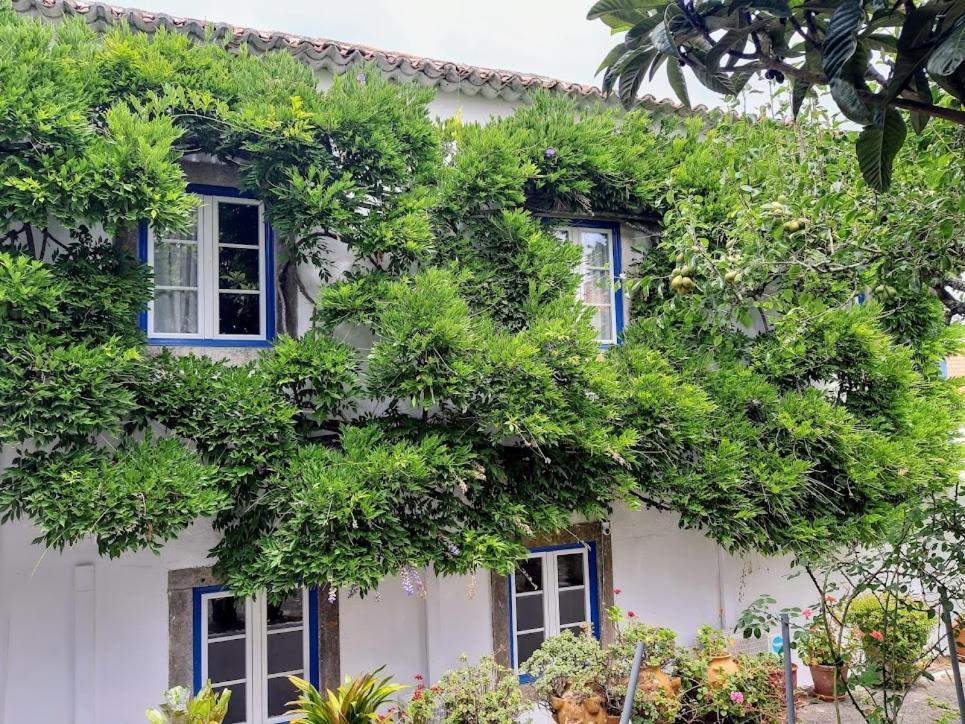 Vila Casa Do Sobral Óbidos Extérieur photo